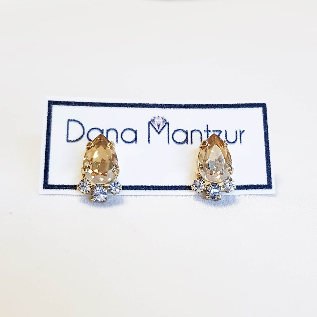 עגילי קריסטל שמפניה, עגילי פרינסס, דנה מנצור