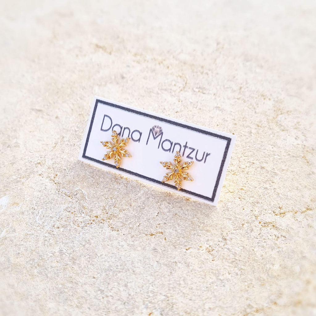 עגילי שלג: עגילי כסף זעירים, דנה מנצור