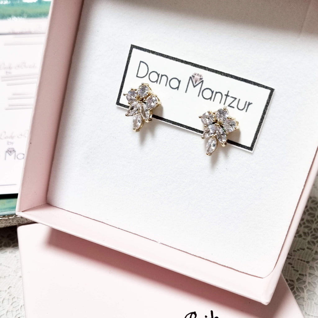 עגילי ניקי, עגילי cz זהב, דנה מנצור