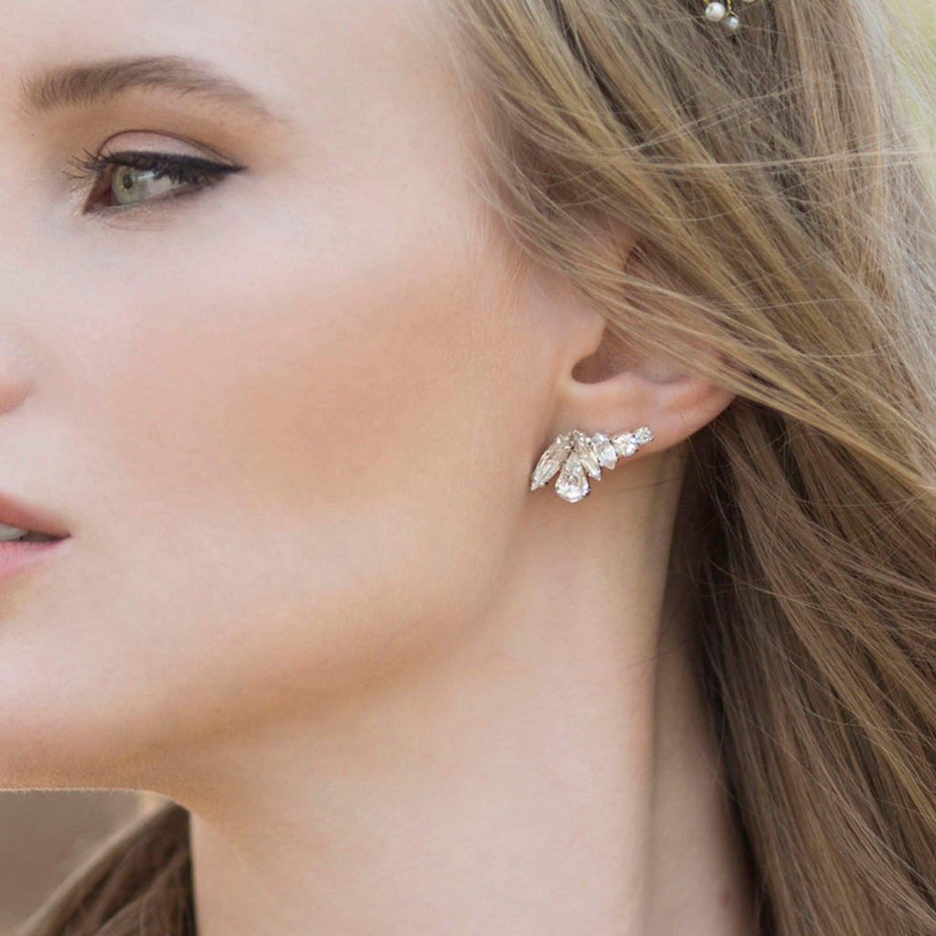 עגילים מטפסים