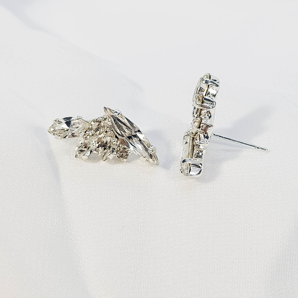 עגילים מטפסים