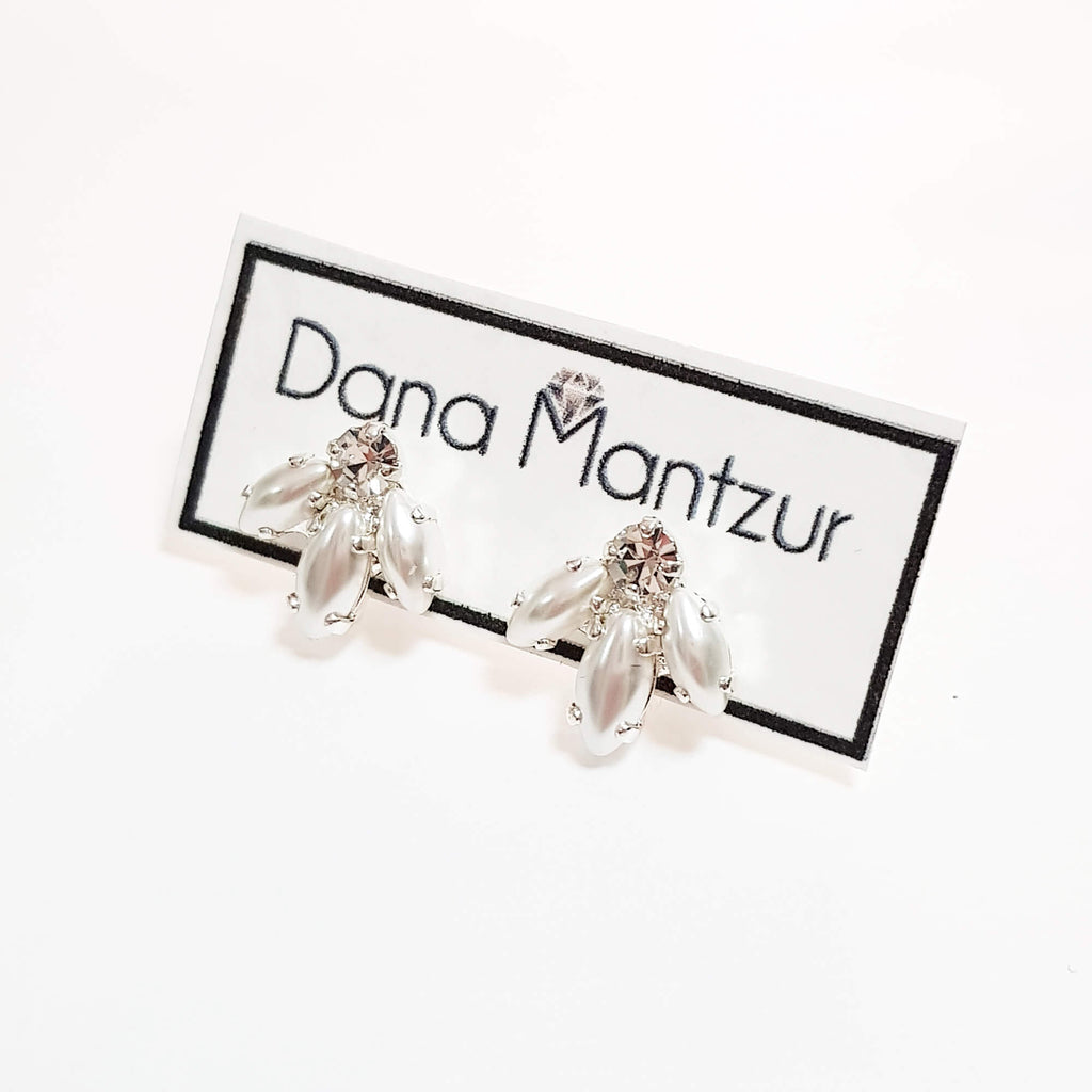 עגילי שירה, עגילי עמוד כסף, דנה מנצור