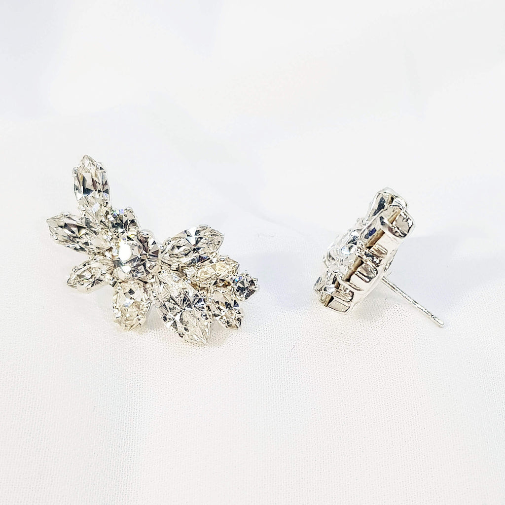 עגילים מטפסים