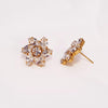 Rose Gold crystal earrings