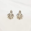 Tiny crystal earrings