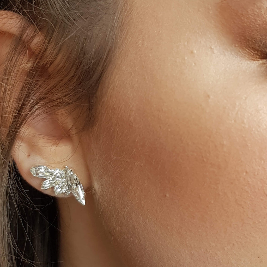 Cz climbing earrings